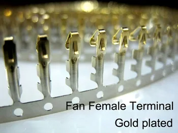 2510 Ventiliatorius moterų terminalo auksą, padengtą Ventiliatoriaus jungties terminalo kompiuterį